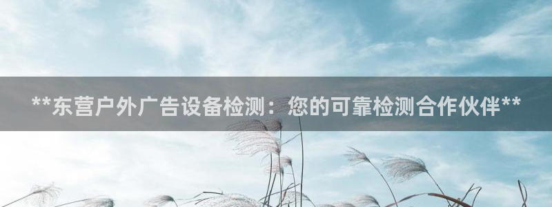 杏宇平台登陆：**东营户外广告设备检测：您的可靠检测合作伙伴**