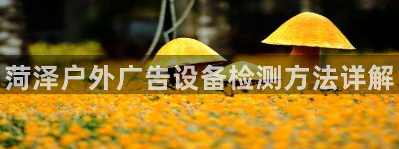 杏宇平台主管：菏泽户外广告设备检测方法详解
