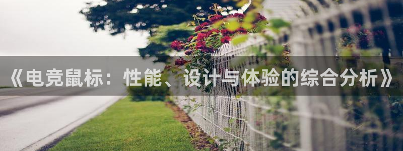 火狐电竞体育平台：《电竞鼠标：性能、设计与体验的综合分析》