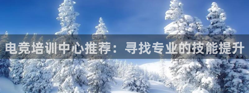 火狐电竞网页版：电竞培训中心推荐：寻找专业的技能提升