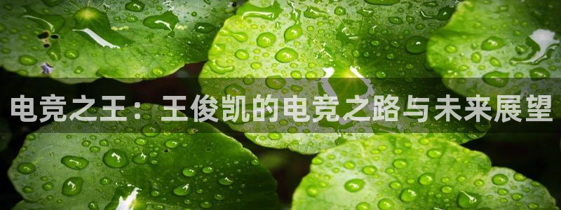 火狐电竞体育平台怎么样