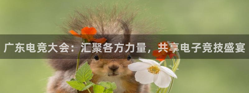 火狐电竞首页在哪