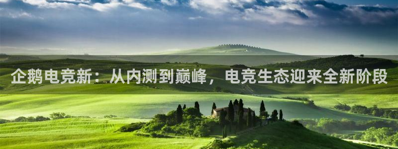 火狐电竞app官网下载