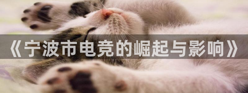 火狐电竞体育平台