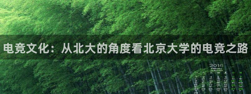 火狐电竞huohu