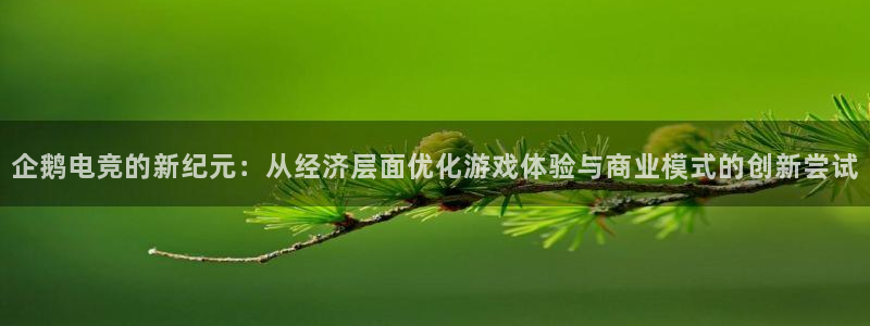 火狐电竞官方网站